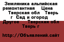 Земляника альпийская ремонтантная. › Цена ­ 50 - Тверская обл., Тверь г. Сад и огород » Другое   . Тверская обл.,Тверь г.